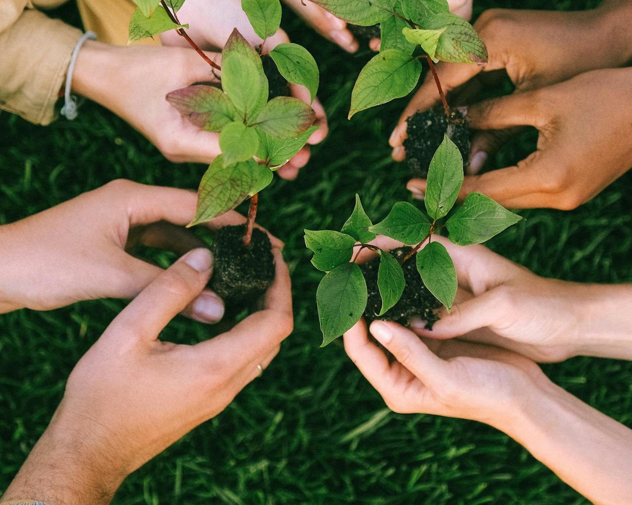 Sustainability (Small) Sustainability (Small)